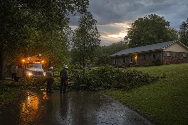Crew assessing a storm-downed limb across a driveway at dusk