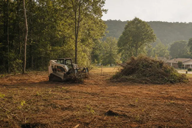 Skid steer with grapple moving brush on a partially cleared lot